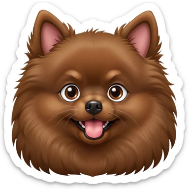 Dark brown Pomeranian with pointed ears and tongue sticking out. He stand sideways and doesn't look at me, but his eyes are looking up at me.  sticker