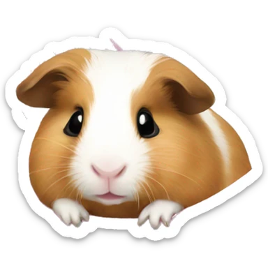Guineapig in a pink hammock sticker