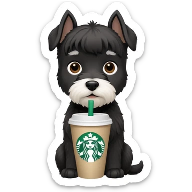 Black schnauzer with a Starbucks cup sticker