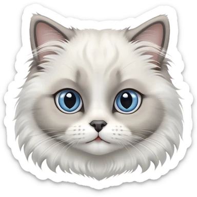 cinematic-adorable-big-eyed-fluffy-white and grey-ragdoll-cat-portrait-emoji,-head-tilted-playfully-with-a-sweet-expression,-fluffy-grey seal colour with white-fur,-simplified-yet-irresistibly-cute-features-with-large,-blue eyes expression, sticker