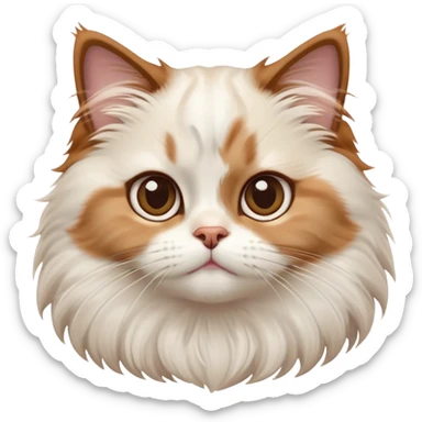 cinematic-adorable-big-eyed-fluffy-white brown-ragdoll-cat-portrait-emoji,-head-tilted-playfully-with-a-sweet-expression,-fluffy-white brown-fur,-simplified-yet-irresistibly-cute-features-with-large,-expression, solid ginger persian cat, chest vicible sticker