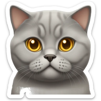 British shorthair with yellowish orangeish eyes with big cheeks sticker