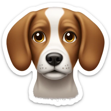 Small brown and white dog with short floppy ears and small nose sticker