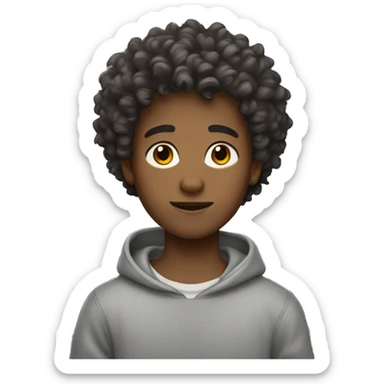 A curly boy with slightly dark skin, dark brown hair, light eyes and a gray sweatshirt sticker