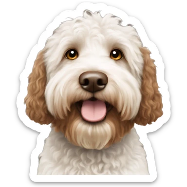 australian labradoodle white and brown white face brown body sticker