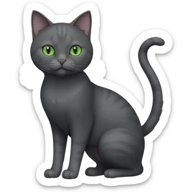 full body view of beautiful female solid dark grey cat with green eyes, grey face, white toes/paws and small white patch on her chest sticker