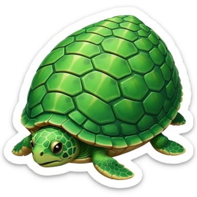 Tartaruga sticker