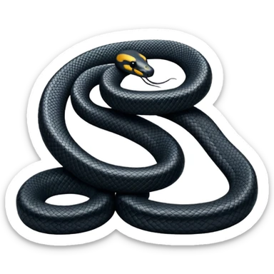 black king snake sticker