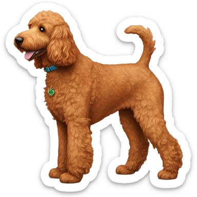 Full size red golden doodle  sticker