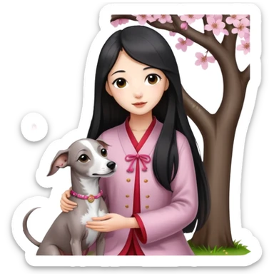 A young Chinese girl with long black hair and a pure grey Italian Greyhound with no white markings sitting under a cherry blossom tree sticker