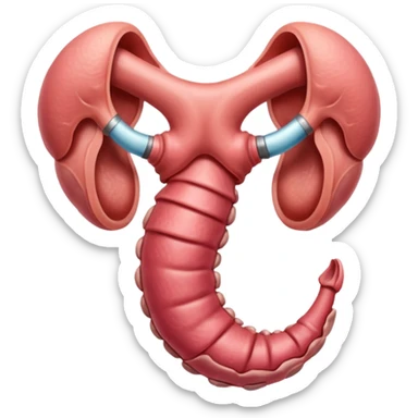 uterus sticker