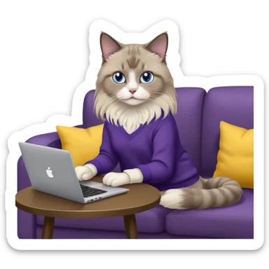 a cute blue eyed brown and white ragdoll cat with white paws and brown and beige tail wearing the dark violet sweater with yellow letteting "Milena" sitting on the grey sofa with grey laptop and drinking coffee sticker