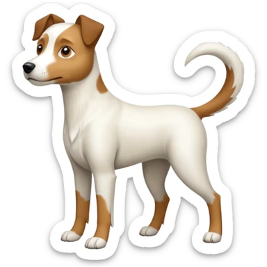 a full body large white parson russell looking dog the size of a kelpie with light brown flapped down ears and a light brown patch on one eye and a large snout sticker