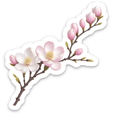 Traditional Japanese Magnolia kobus (kobushi) blossom with sumi-e brush stroke style, delicate white flowers on bare branch, zen aesthetic with subtle ink wash background sticker
