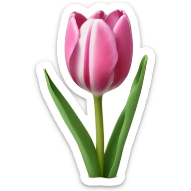 un mazzo di tulipani sticker