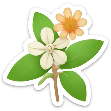 ashwagandha with flower sticker