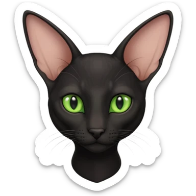 Black oriental shorthair sticker