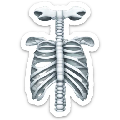 X-ray of rib cage sticker