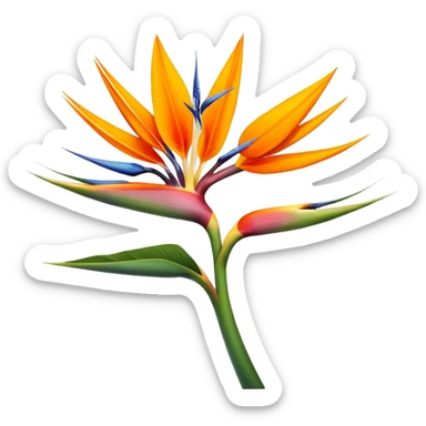 Bird of paradise  sticker
