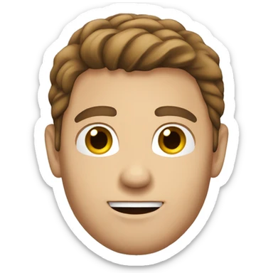 man, Caucasian, brown hair, handsome sticker