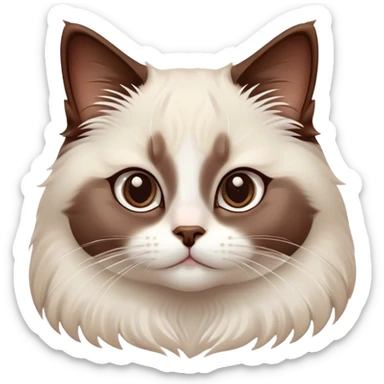Cinematic Adorable Chocolate-Point Ragdoll Cat Portrait Emoji, Head tilted cutely with big, sparkling eyes, sleek brown and white tones with a sweet white nose, Simplified yet irresistibly adorable features, highly detailed, glowing with a soft, warm glow, high shine, affectionate and playful, stylized with a touch of whimsy, bright and endearing, soft glowing outline, capturing the essence of a curious and loving kitten, so cute it feels like it could leap out of the screen and snuggle up for a cuddle! sticker