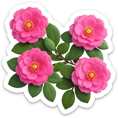 Detailed pink camellia flower with perfectly arranged petals and shiny dark green leaves sticker