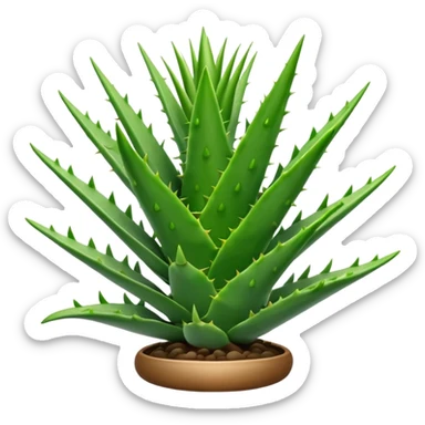Aloevera sticker