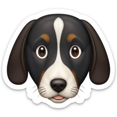 Black hound dog with floppy ears, white snout and white chest sticker