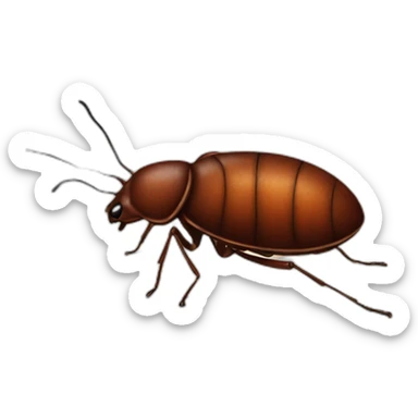 bedbug sticker