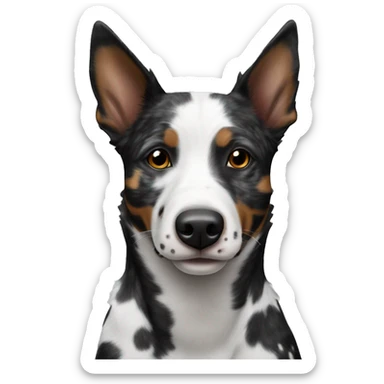 Black and white spotted Australian cattle dog no brown sticker