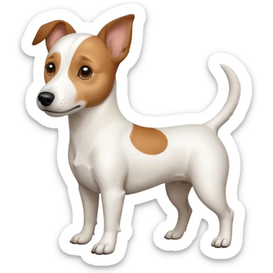 a full body white jack russel looking dog the size of a kelpie with light brown ears and a light brown patch on one eye, flopped down ears and a large snout sticker