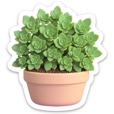 Sedum Pachyphyllum succulent with chubby blue-green leaves in a beige pot sticker
