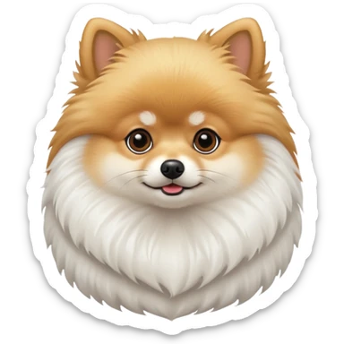 Pomeranian white sticker