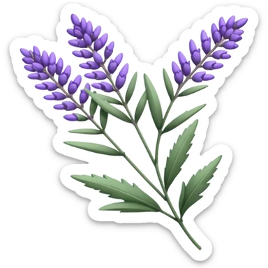 Lavender sticker