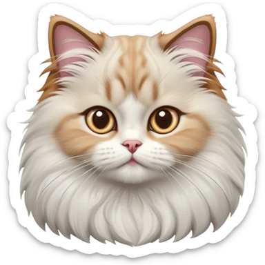 cinematic-adorable-big-eyed-fluffy-ragdoll-cat-portrait-emoji,-head-tilted-playfully-with-a-sweet-expression,-fluffy-white and grey-fur,-simplified-yet-irresistibly-cute-features-with-large,-expression, solid ginger persian cat sticker