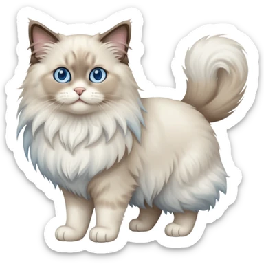 Ragdoll cat sitting full body sticker