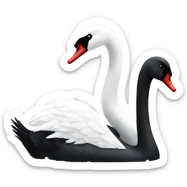 Black swan with white swan  sticker