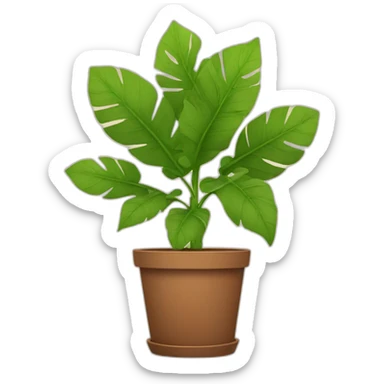 plant with lots of big stems and big leaves in a brown flower pot sticker