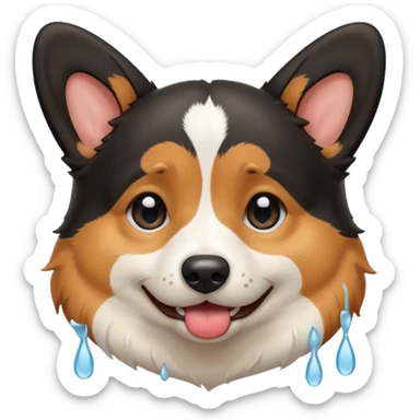 black tricolor corgi with no tail and crying sticker