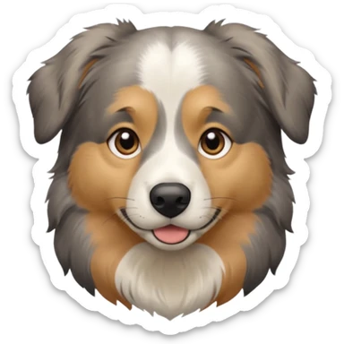 Australian Shepherd golden retriever tan eyebrows around nose and mouth black and grey fur on chest and everywhere else.  sticker
