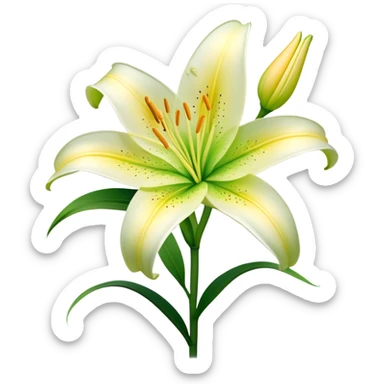 Cinematic Realistic Lily Emoji, Elegant and fragrant, with soft, white petals curling delicately around a golden-yellow stamen at its center. The long, slender green stem stands tall, supporting the vibrant bloom with its slightly curled tips. Soft glowing outline, capturing the essence of purity, elegance, and grace in a striking lily. sticker