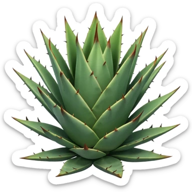 Agave plant sticker