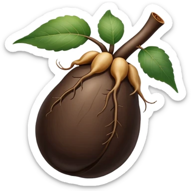 A realistic illustration of black ginseng root (heuksam) in the style of iPhone emoji: glossy dark brown-black color, smooth gradient shading, subtle texture details on the root surface, elegant natural curves, clean simple shapes, no outlines, slight 3D depth, high-quality digital illustration.
 sticker
