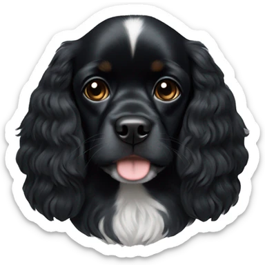 completely black small king spaniel with black fur on his whole face and white fur on chest sticker