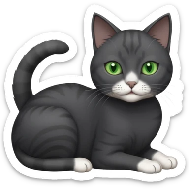 beautiful female solid dark grey cat with green eyes, white toes/paws and white patch on her chest rolling over sticker