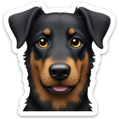 beauceron with slightly fluffy hair, dark eyes and long ears sticker