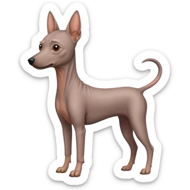 Mexican Hairless Dog sticker