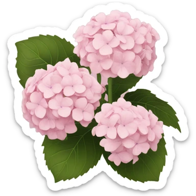 light pink hydrangea  sticker