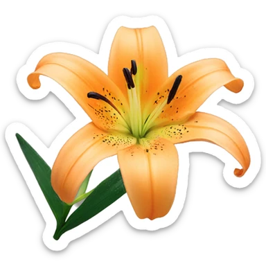 Pale orange lilium sticker