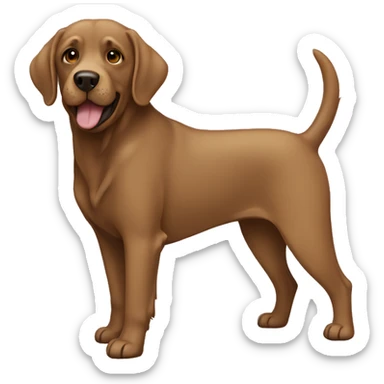 Brown labra doodle  sticker